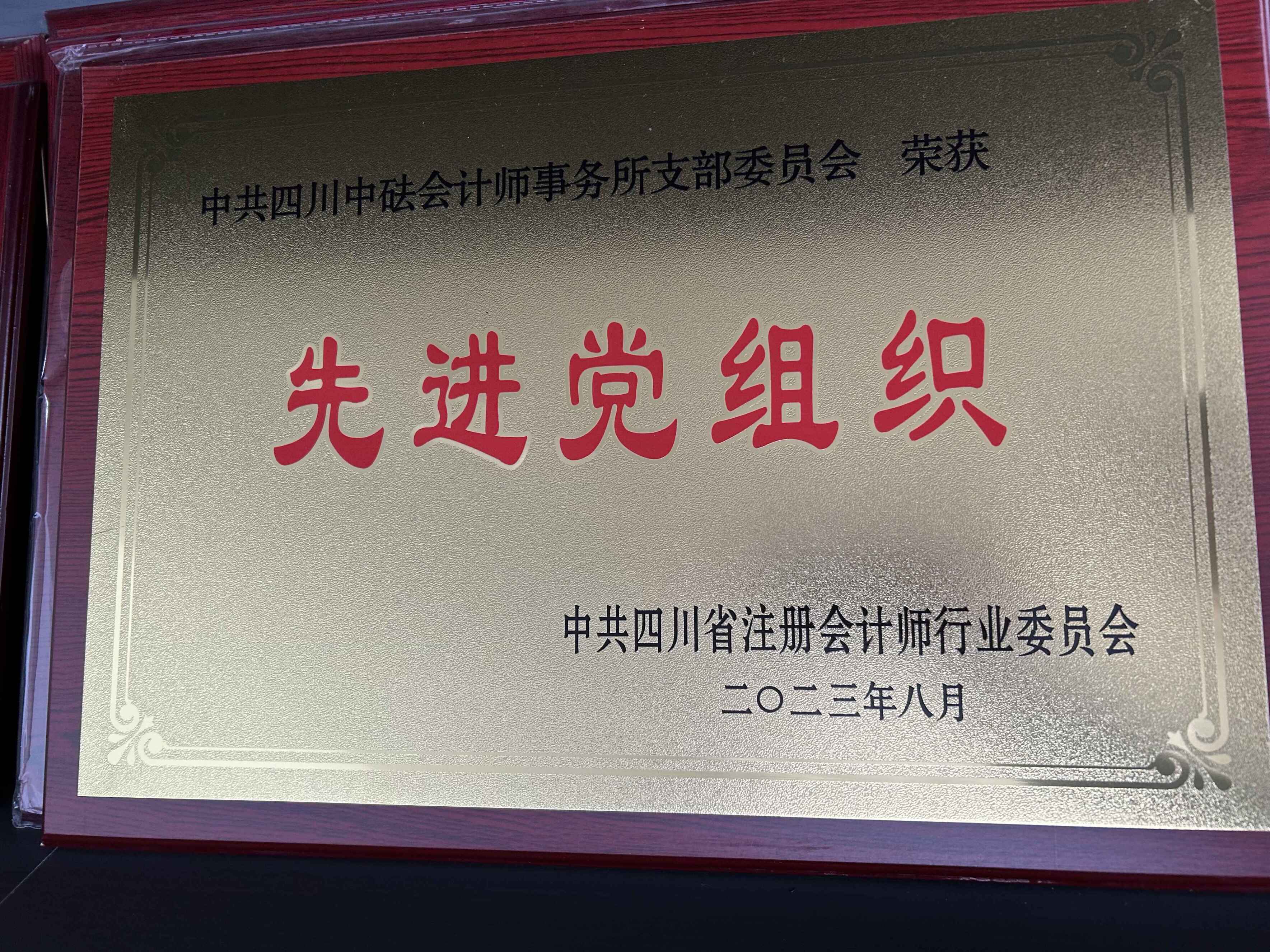 2023年先進黨組織—中共四川省注冊會計師行業(yè)委員會